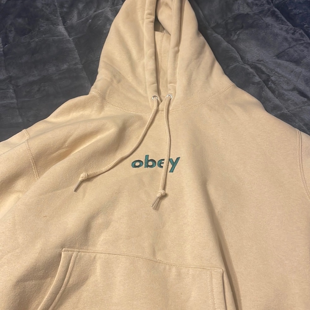 PacSun OBEY Hoodie
